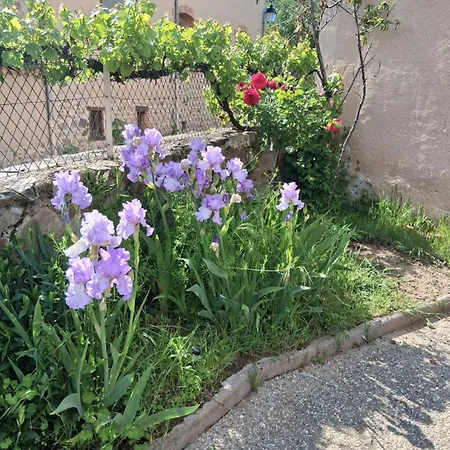 Holiday home Tranquillite Lavaudieu