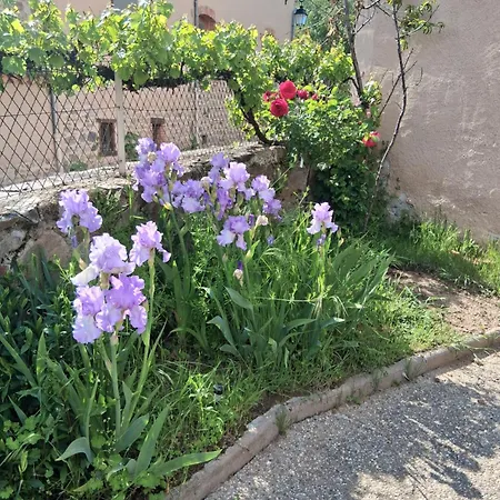 Tatil Evi Tranquillite Lavaudieu