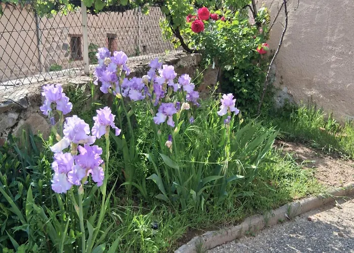 Holiday home Tranquillite Lavaudieu